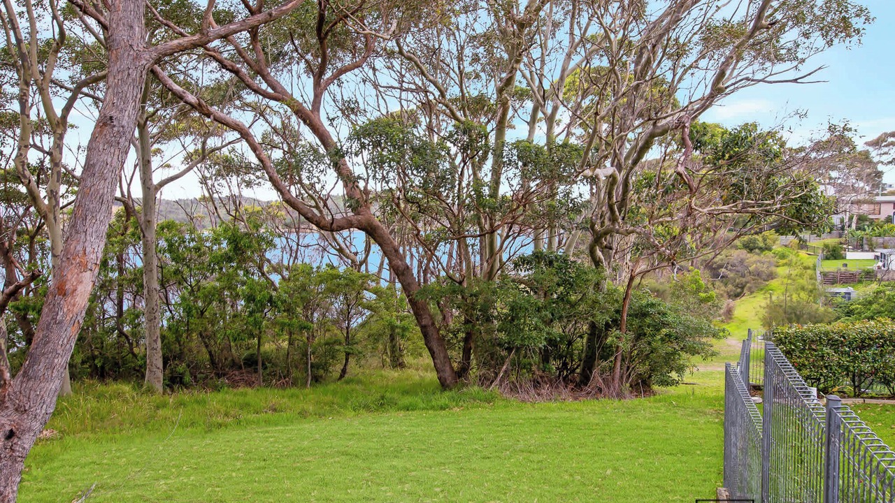 Photo of Others in Malua Bay