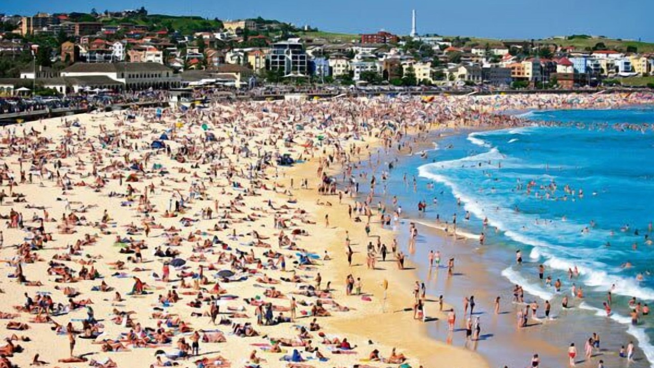 Photo of Others in Bellevue Hill
