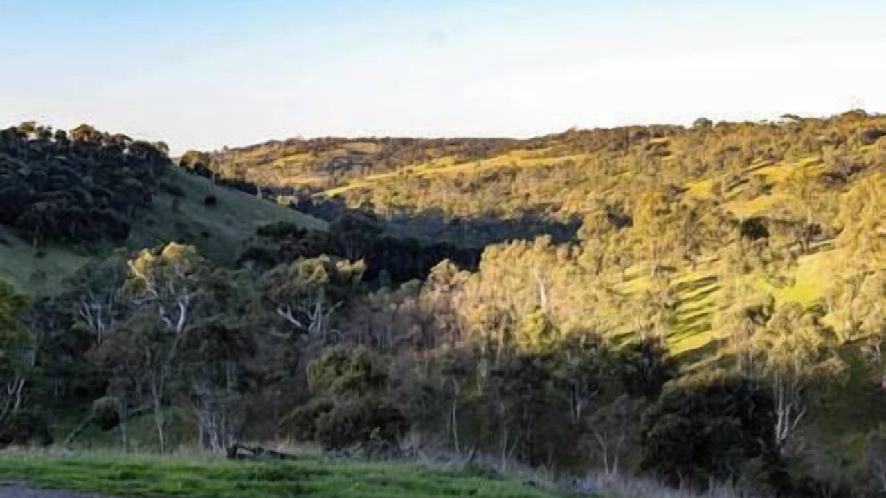 Photo of Others in Gemmells