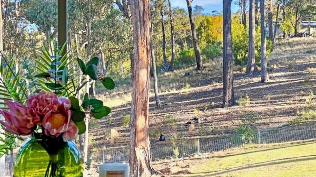 Photo of Others in Bald Hills