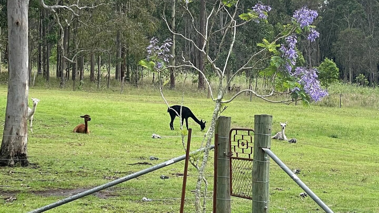Photo of Others in Clarenza