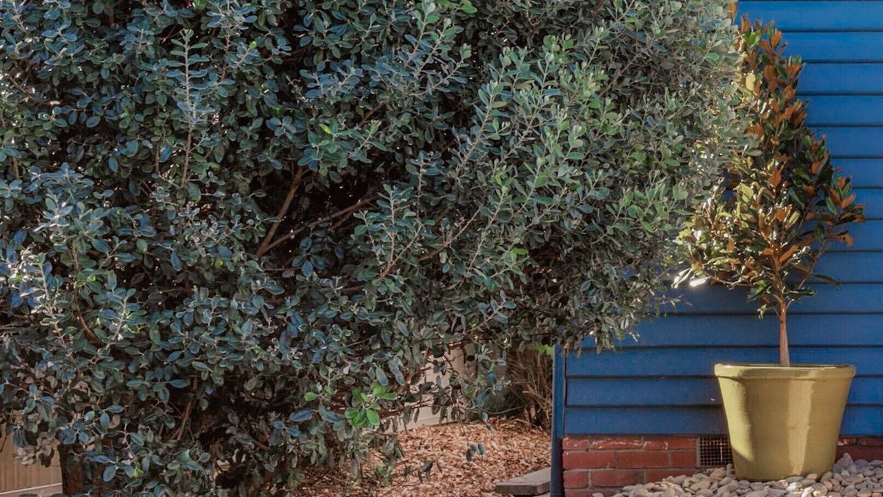 Photo of Outdoor in Wendouree