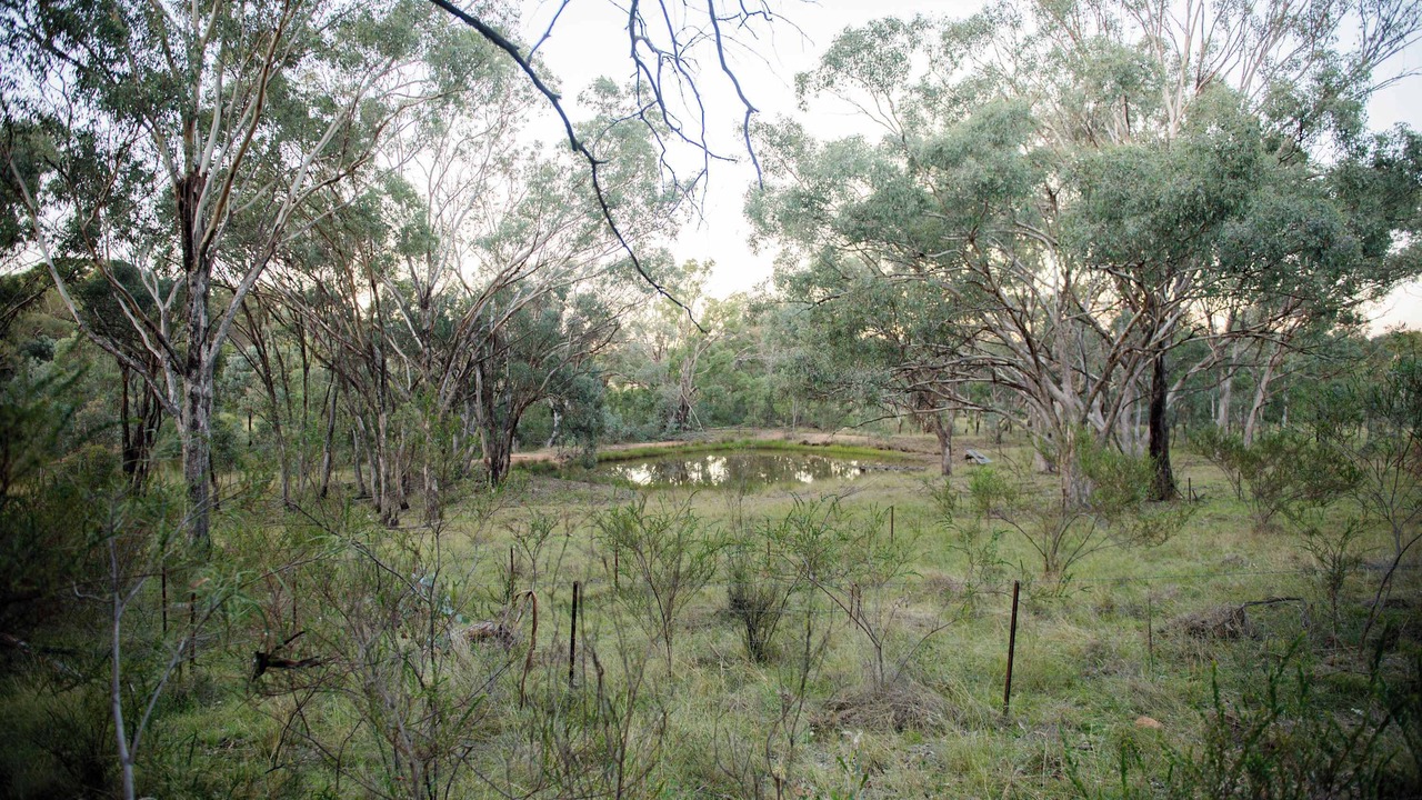 Photo of Others in Coonabarabran
