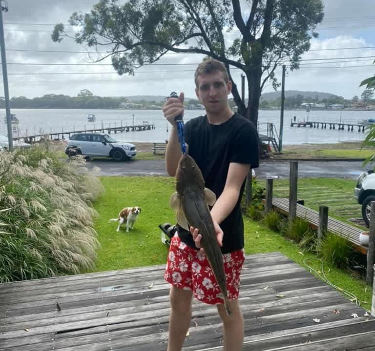 Photo of Others in Phegans Bay
