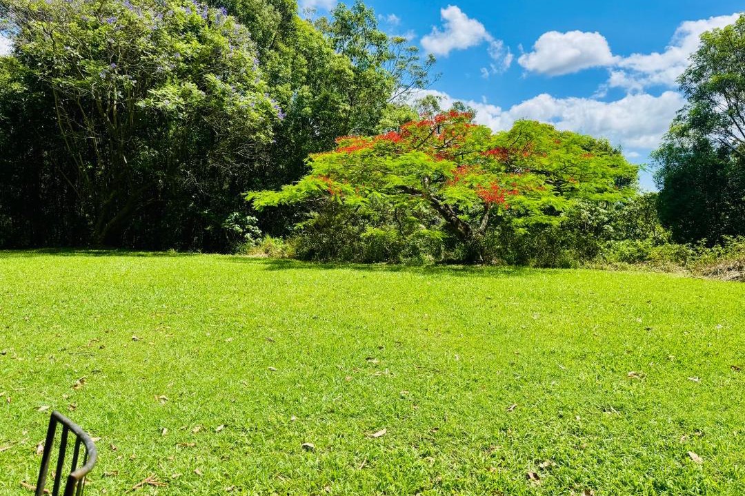 Photo of Others in Currumbin Valley