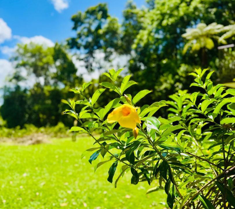 Photo of Others in Currumbin Valley