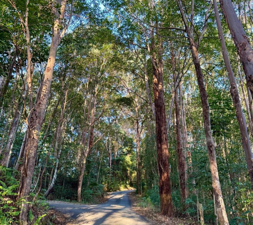 Photo of Others in Currumbin Valley
