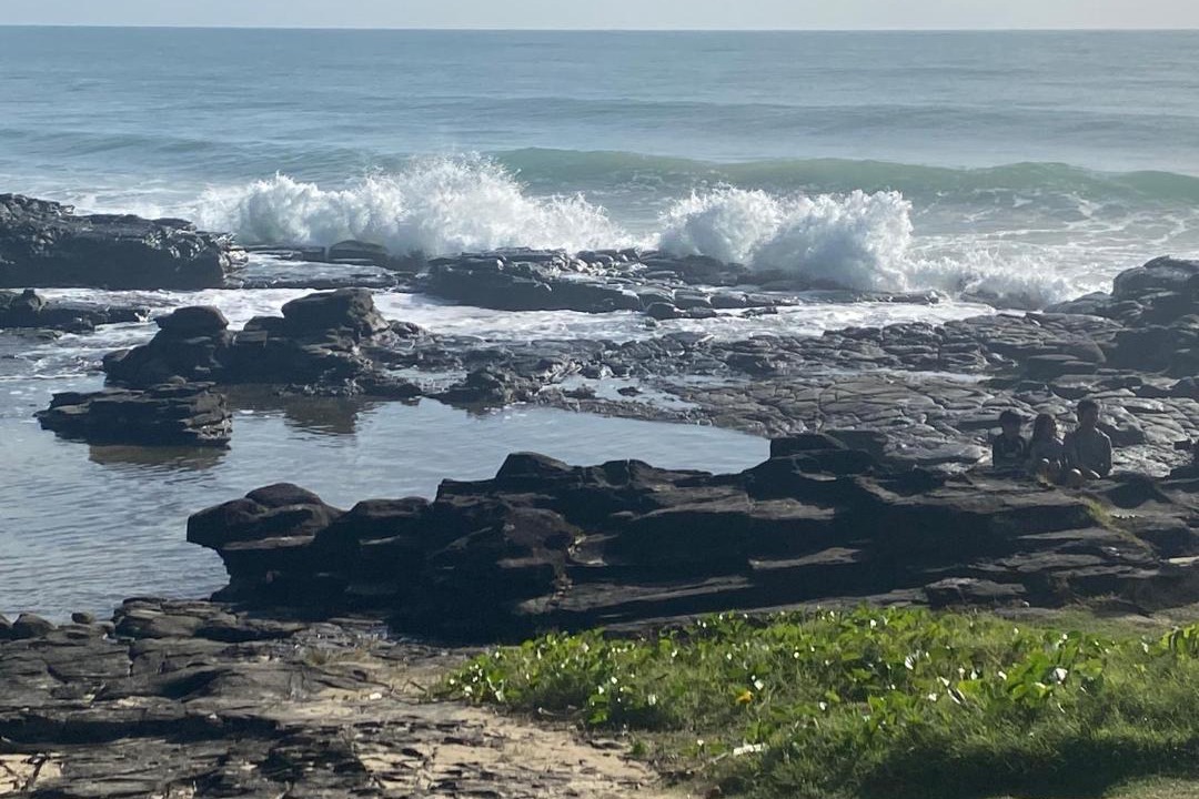 Photo of Others in Alexandra Headland