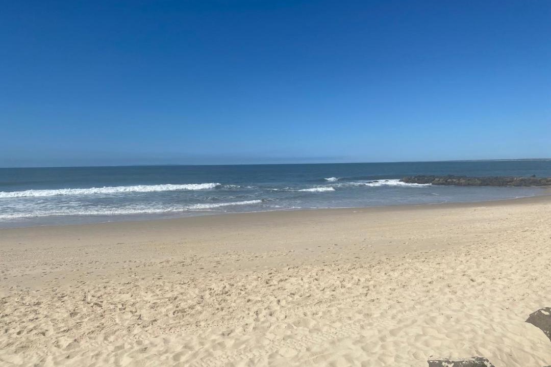 Photo of Others in Alexandra Headland