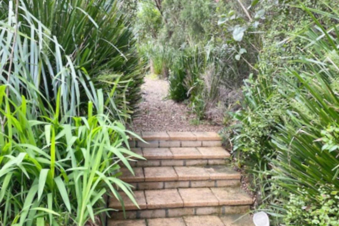 Photo of Others in Mollymook Beach