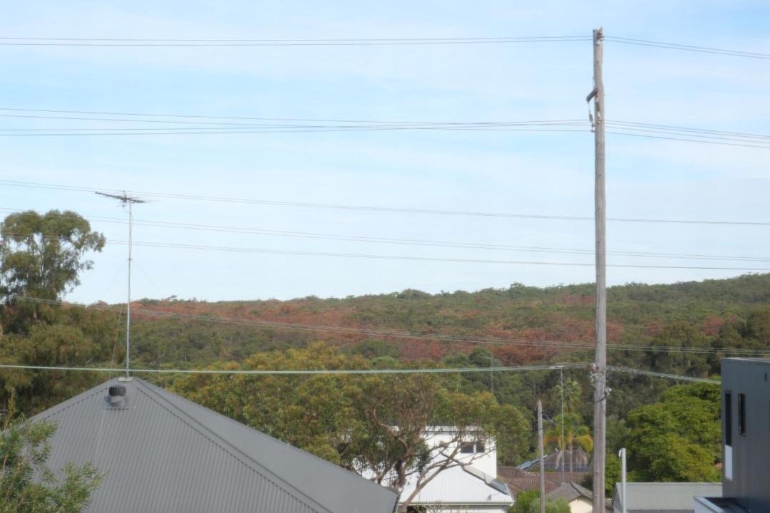 Photo of Others in Sutherland