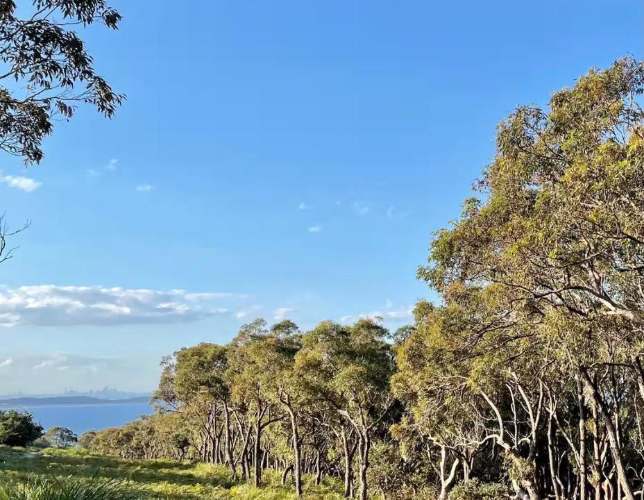 Photo of Others in Bundeena