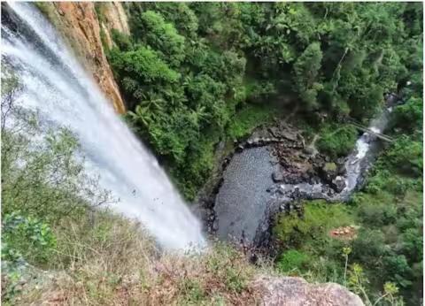 Photo of Others in Springbrook