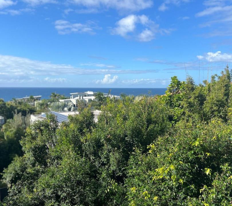 Photo of Others in Sunshine Beach