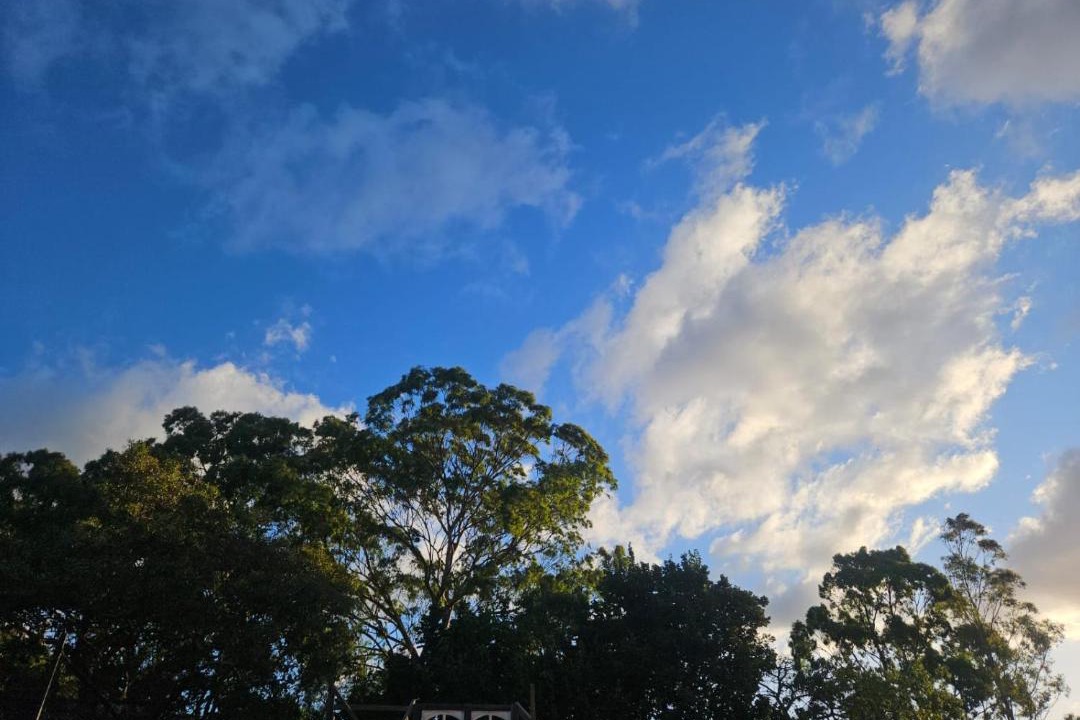 Photo of Others in Yarrambat
