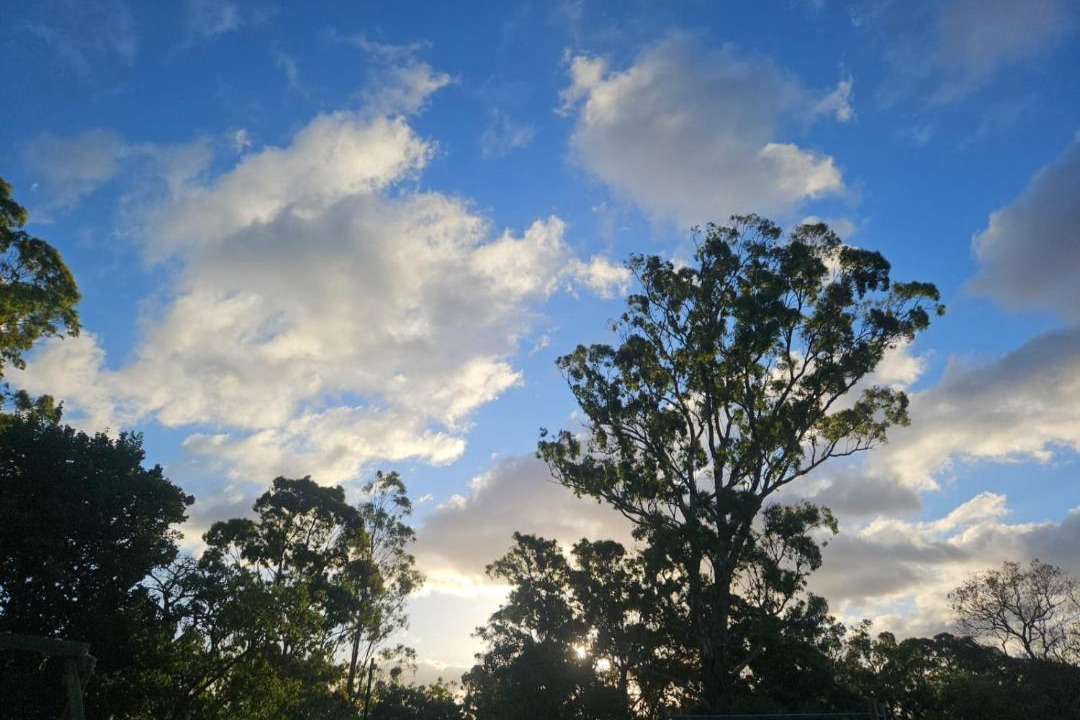 Photo of Others in Yarrambat