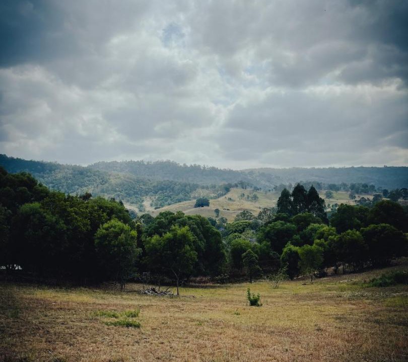 Photo of Others in Moreton Bay Region