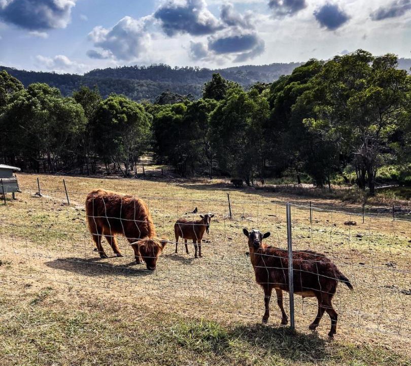 Photo of Others in Moreton Bay Region