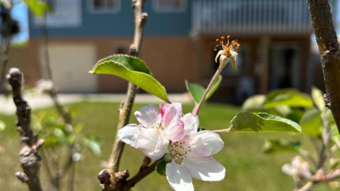 Photo of Outdoor in Sanctuary Point