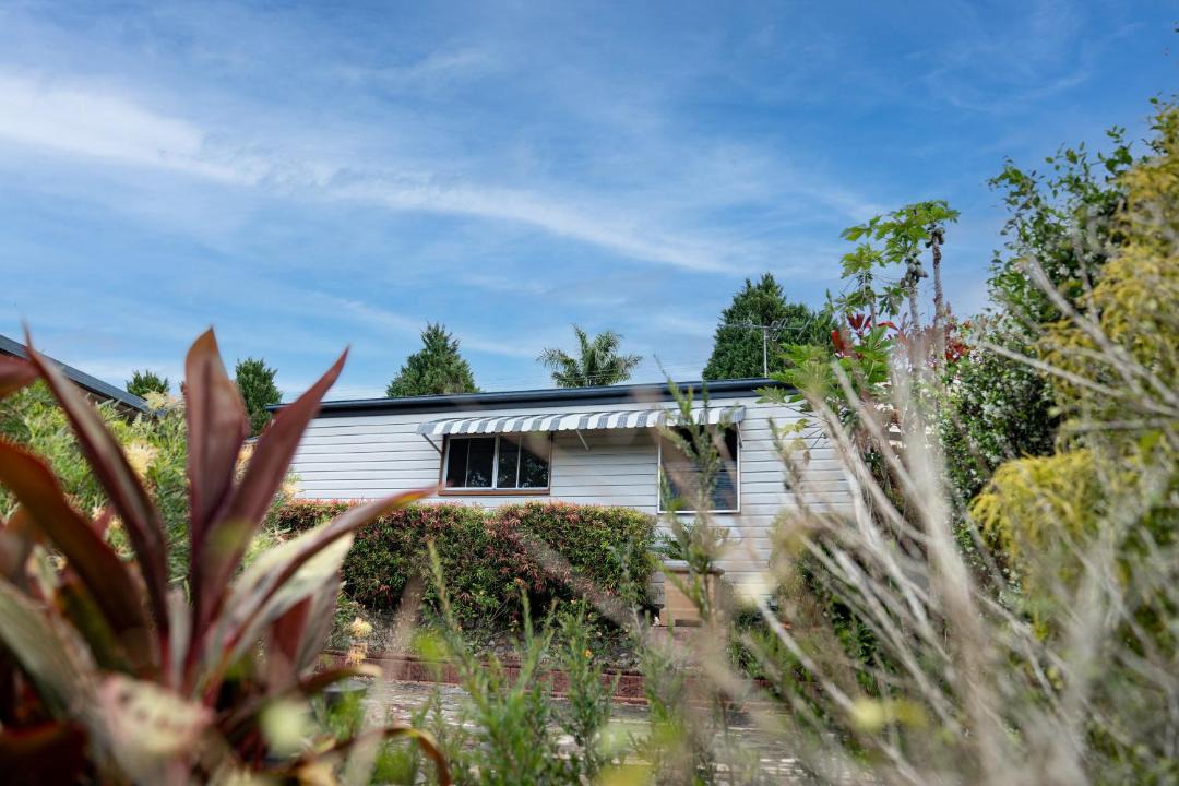 Photo of Others in Yungaburra