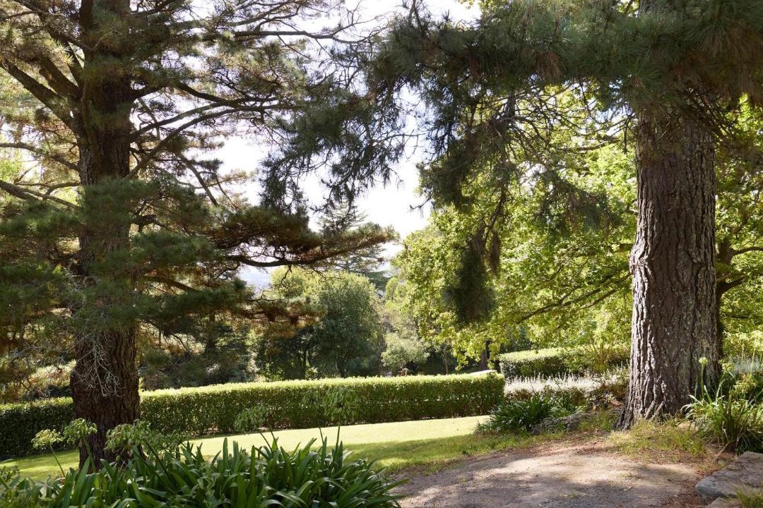 Photo of Others in Mittagong