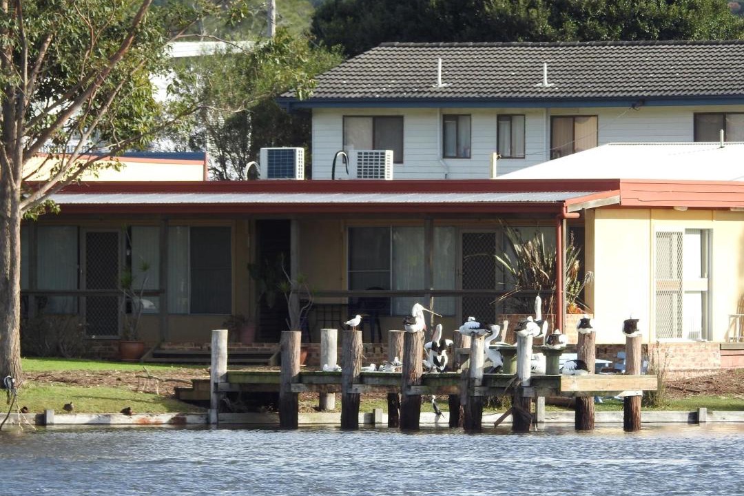 Photo of Others in Burrill Lake