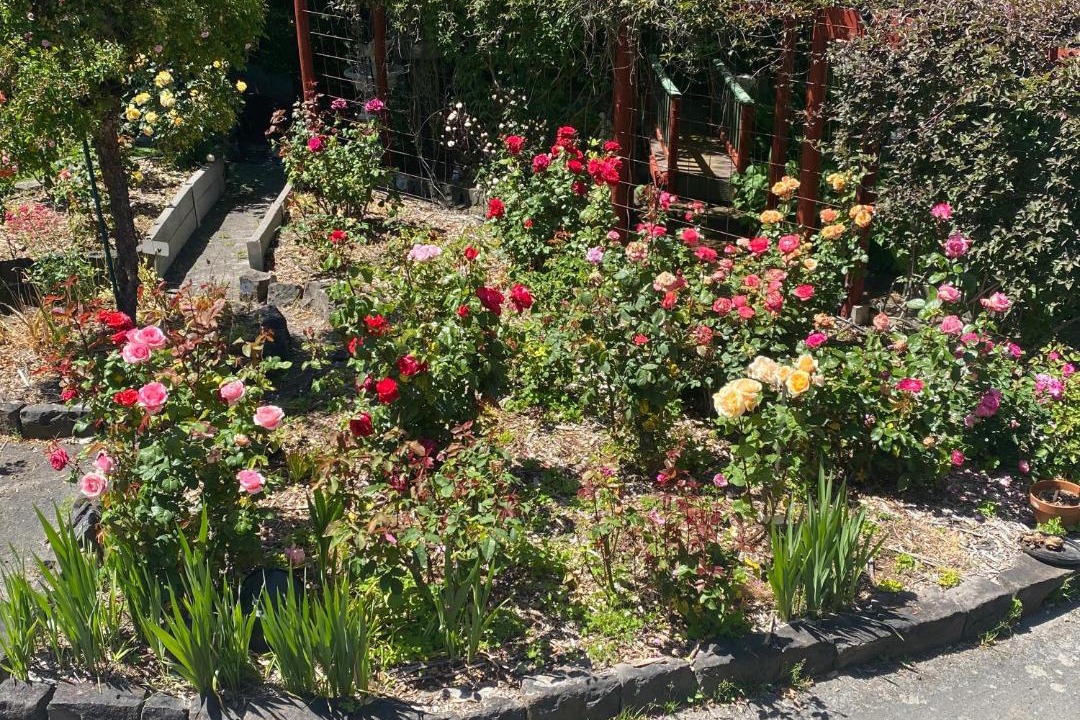Photo of Outdoor in Ballarat East