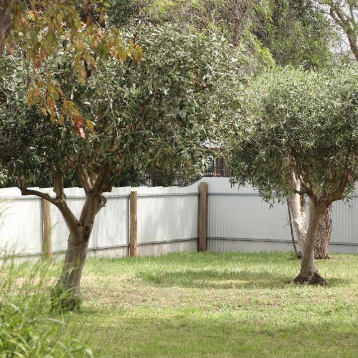 Photo of Others in McLaren Vale