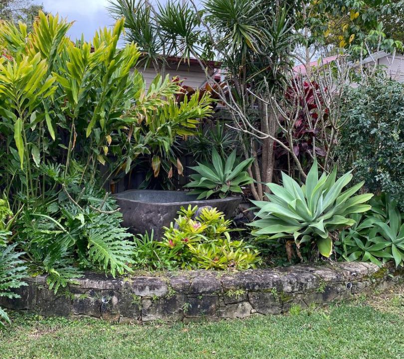 Photo of Others in Mullumbimby