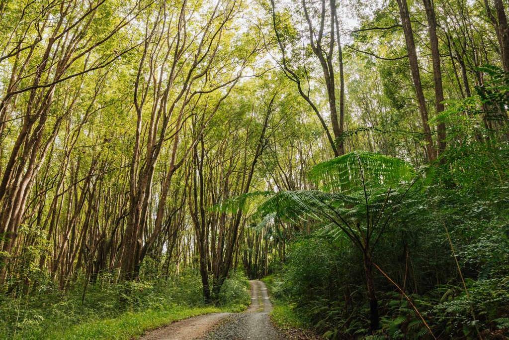 Photo of Others in Possum Creek