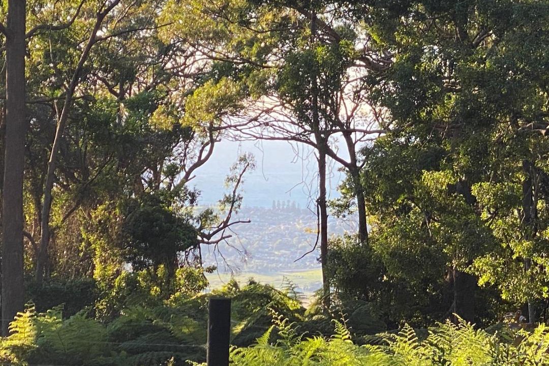 Photo of Others in Saddleback Mountain