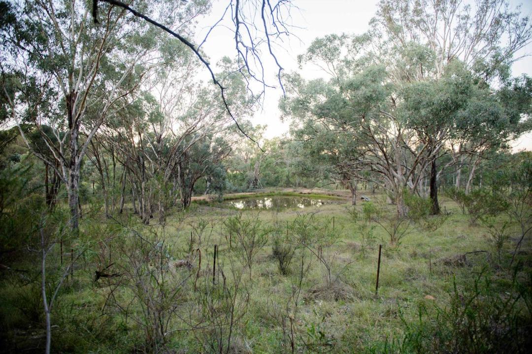 Photo of Others in Coonabarabran