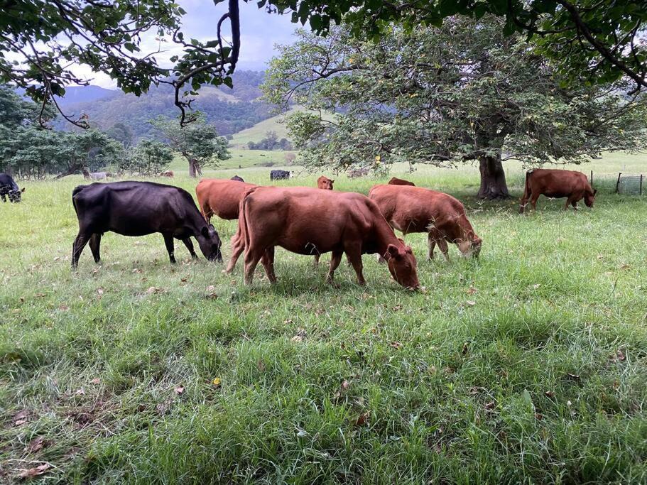 Photo of Others in Marshall Mount