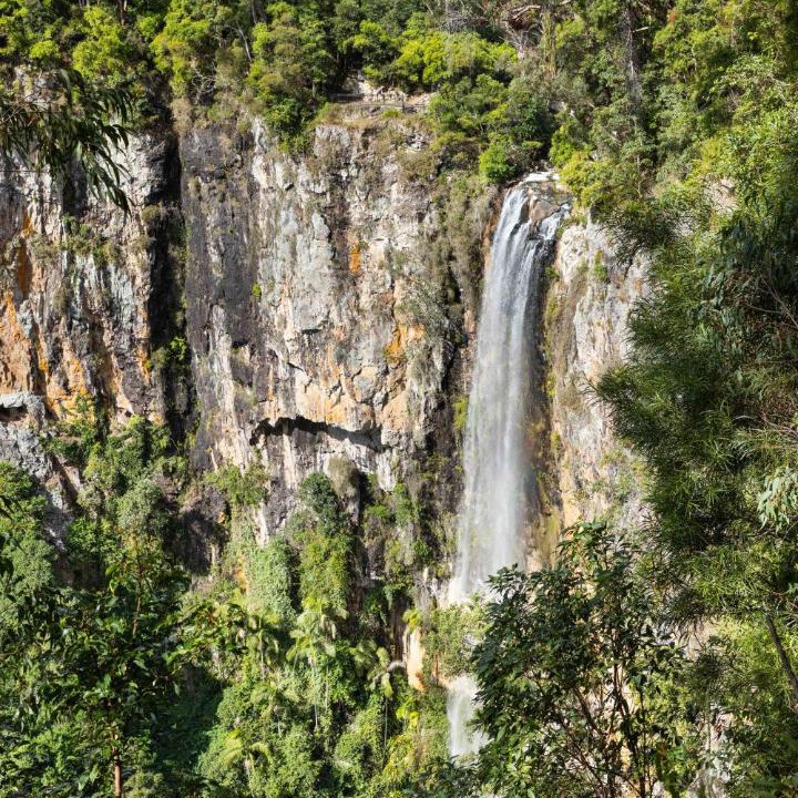 Photo of Others in Springbrook