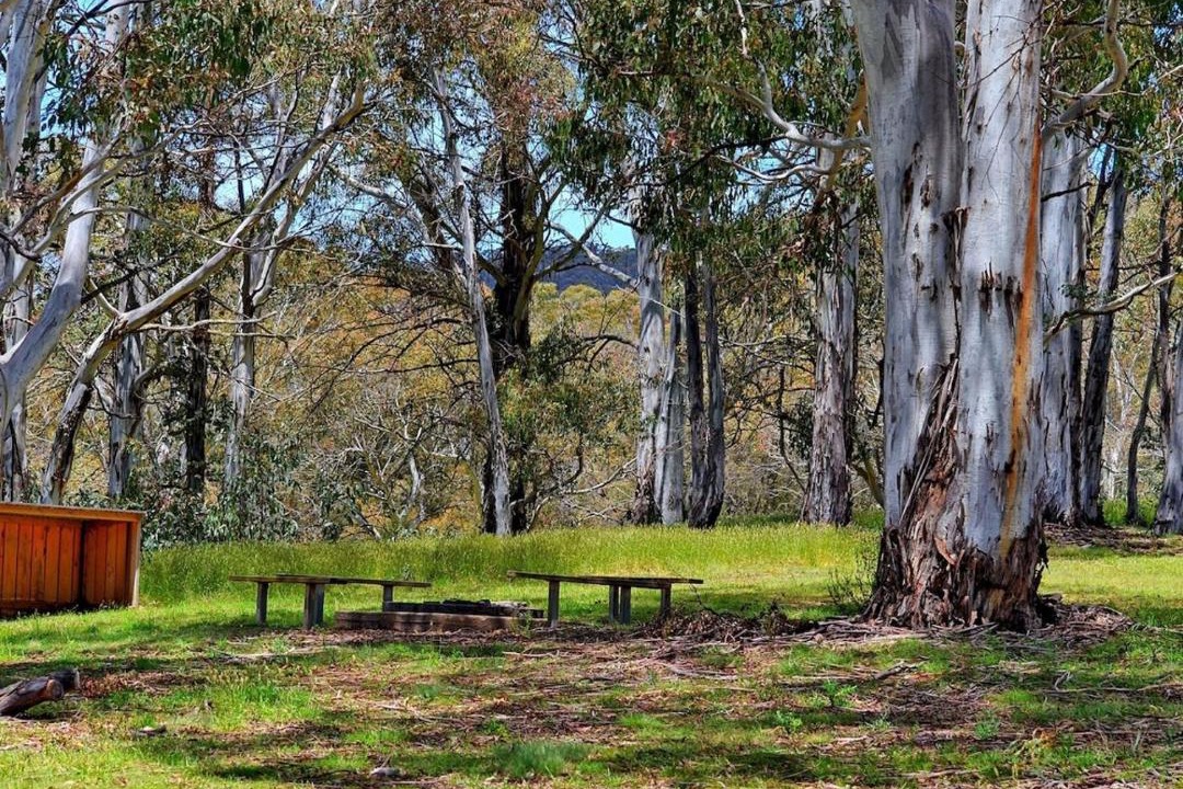 Photo of Others in Adaminaby