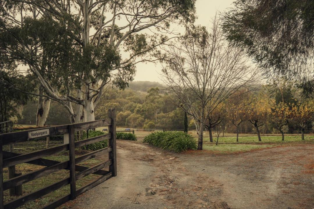 Photo of Others in Carey Gully