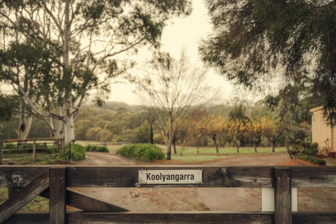 Photo of Others in Carey Gully