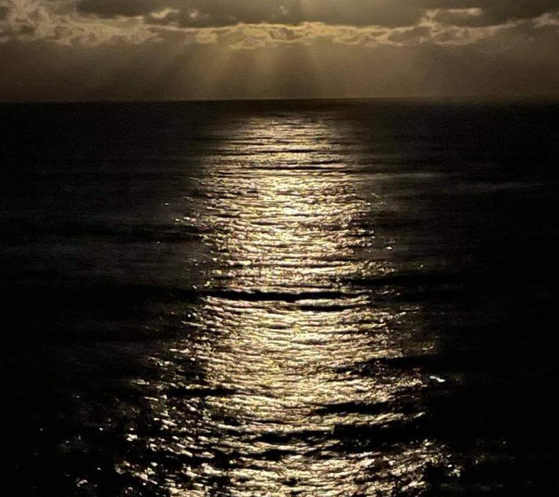 Photo of Others in Denhams Beach