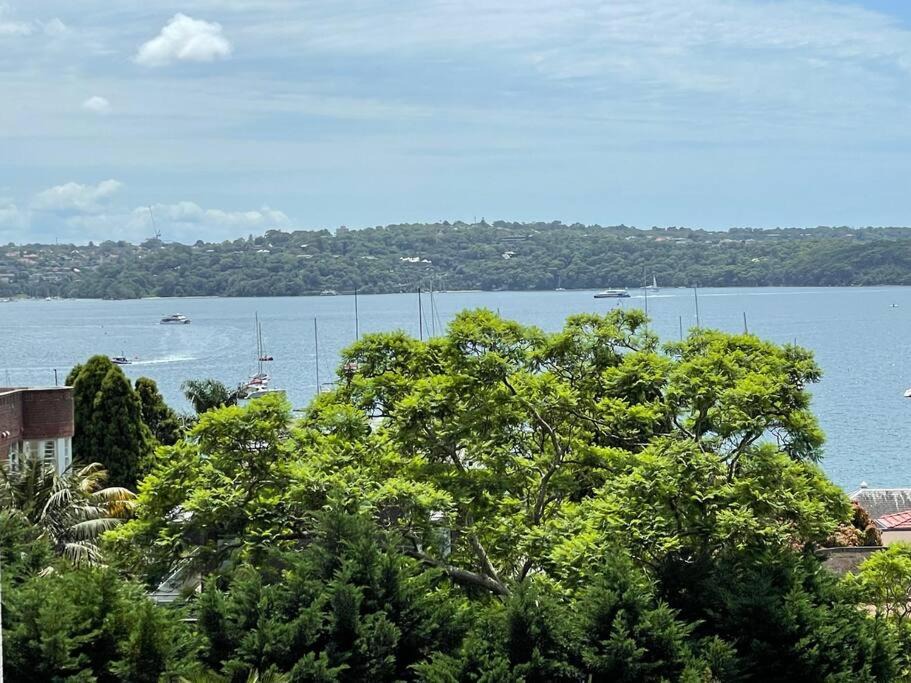 Photo of Others in Elizabeth Bay