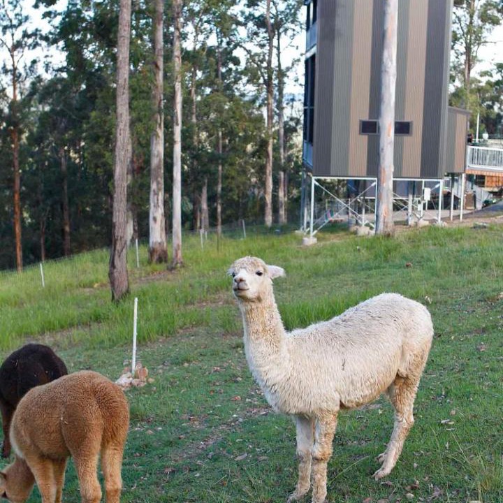 Photo of Others in Austinville