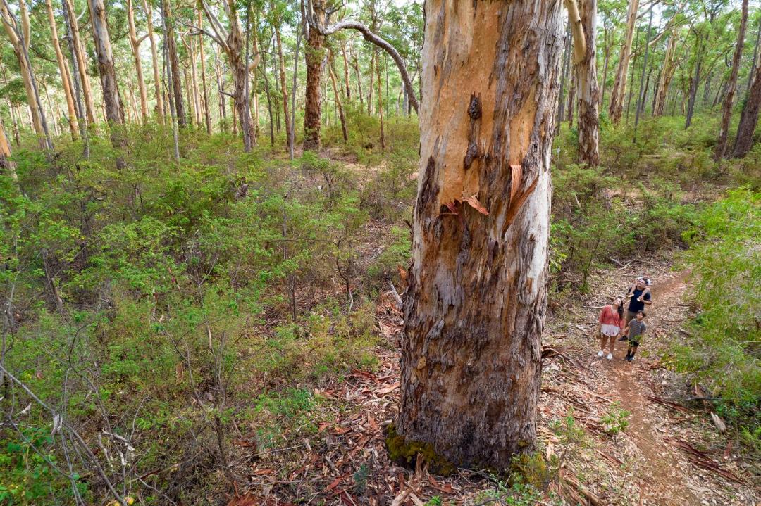 Photo of Others in Margaret River