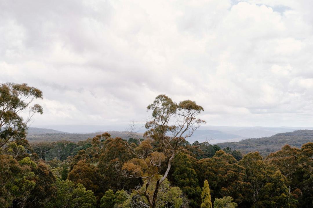 Photo of Others in Bundanoon