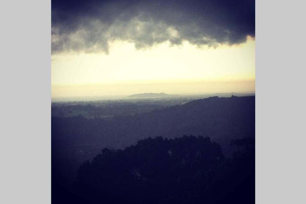 Photo of Others in Coorabell