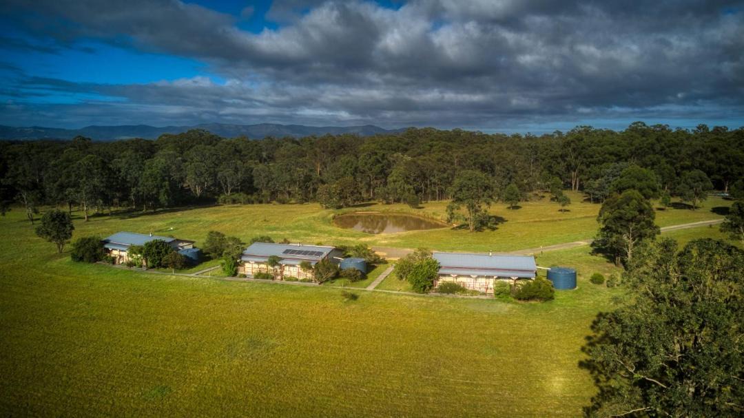 Photo of Others in Lovedale