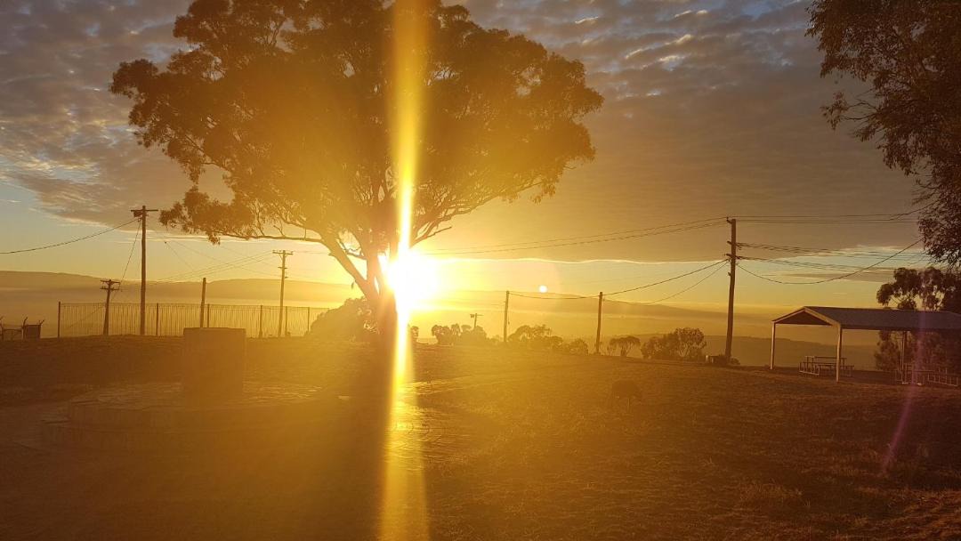 Photo of Others in Mount Panorama