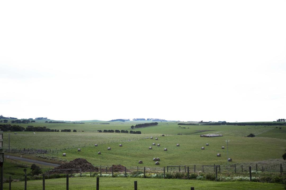 Photo of Others in Kilcunda