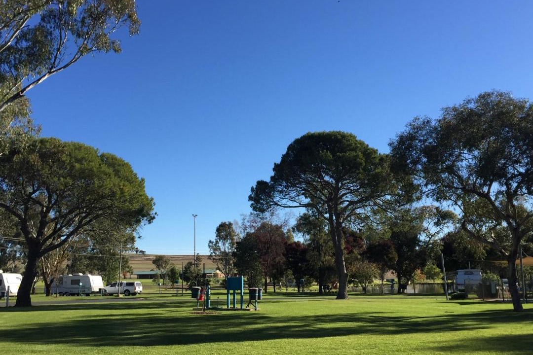 Photo of Others in Junee