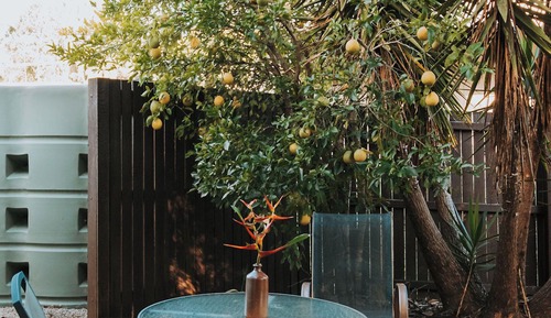 Bungalow B2