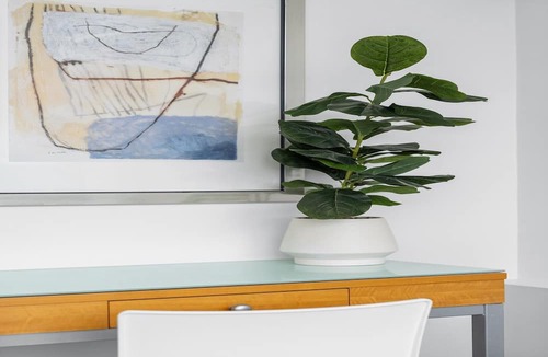 Brisbane Central Business District Apartment | Bright Inner-City Stay Near Roma Street