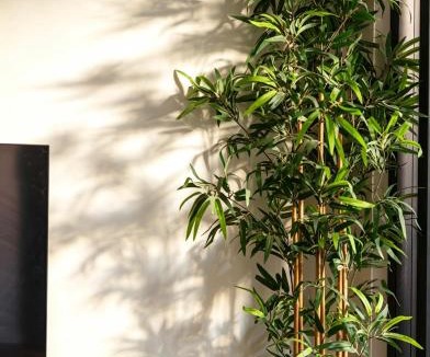 Crows Nest Apartment | North Sydney Crows Nest 2 Bedroom Apartment
